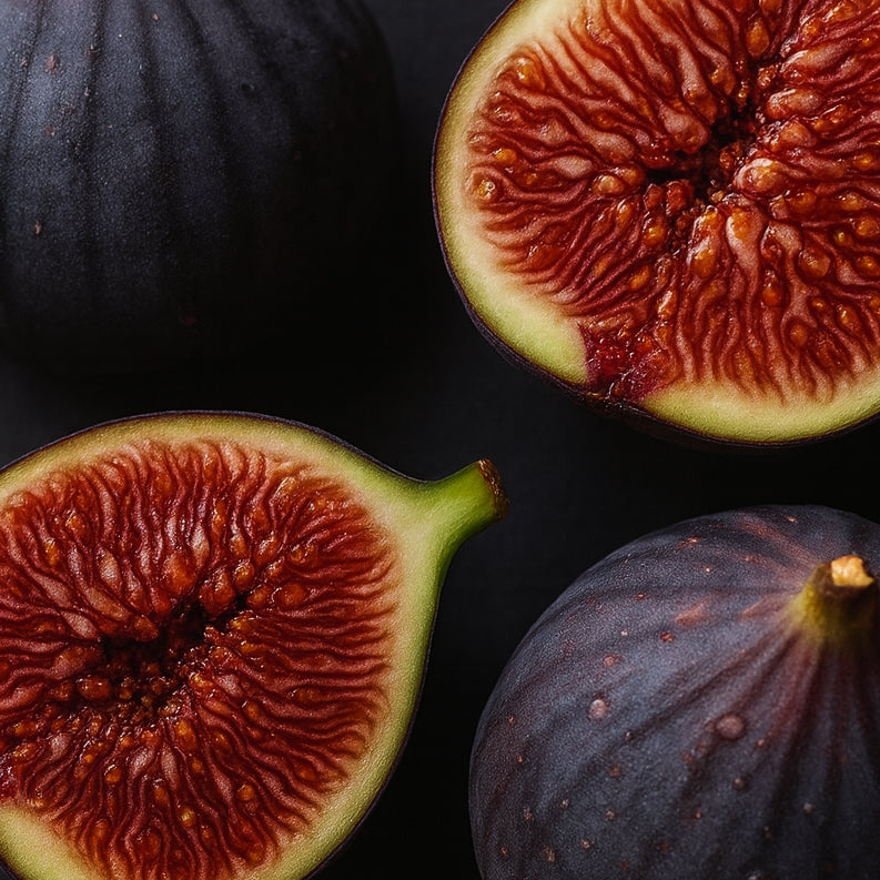 LYORA Mediterranean Fig