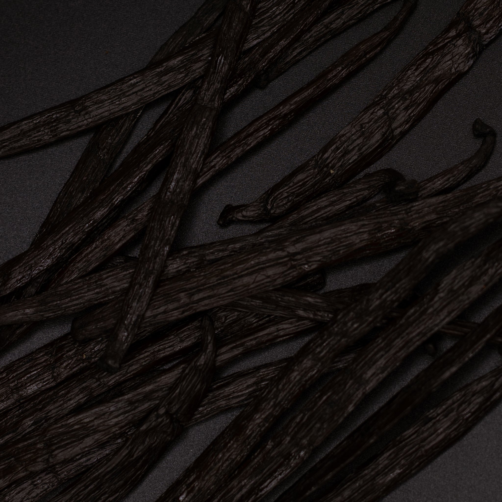 LYORA Vanilla Oud Refill